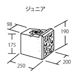 ジュニア